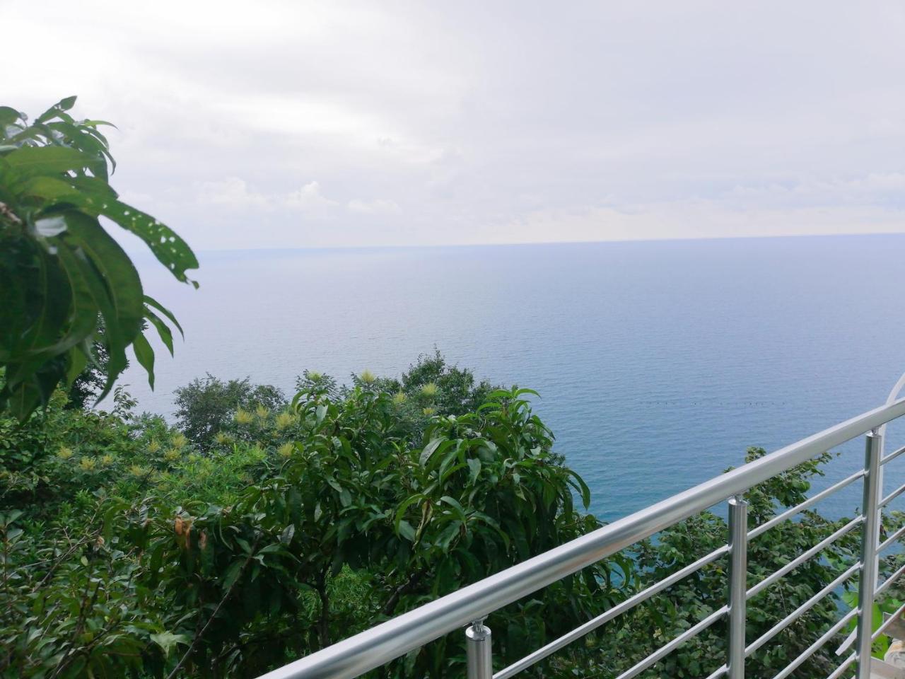 Albatross Kvariati Guest House Ngoại thất bức ảnh