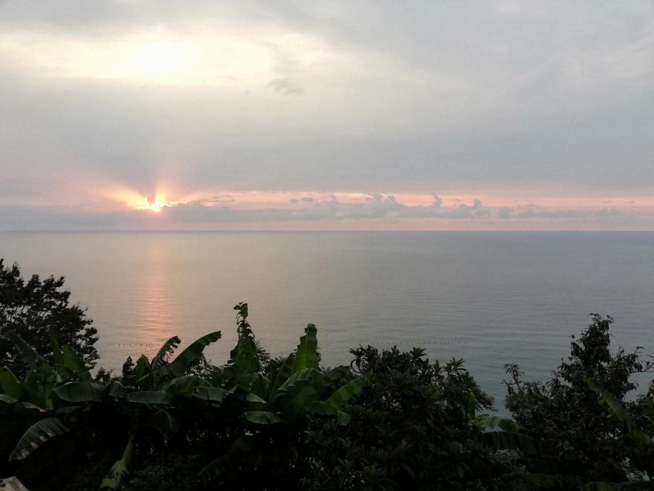 Albatross Kvariati Guest House Ngoại thất bức ảnh